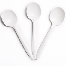 Disposable Biodegradable spoon 5.5"  with good quality